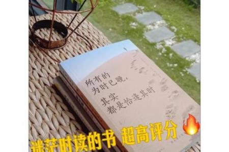 免费八字解读，走出迷茫，迎接人生新机遇