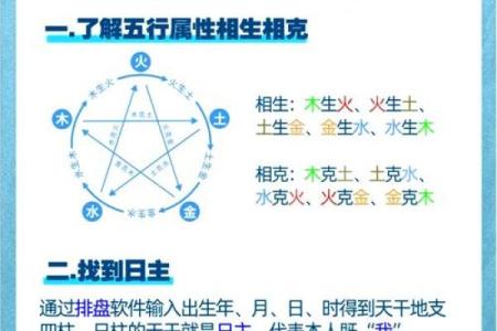 包字五行解析：它到底属于哪个元素？