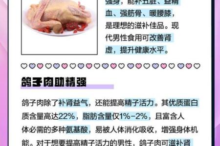 鸽子五行属什么？揭秘其隐藏的五行秘密