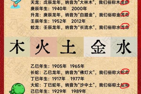 龙字五行属什么 揭秘深层次的五行奥秘