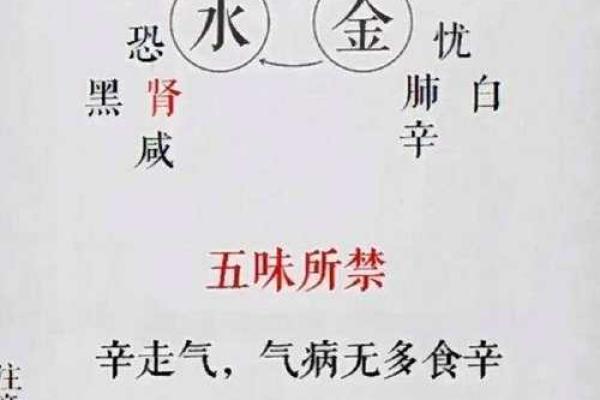 龙字五行属什么 揭秘深层次的五行奥秘