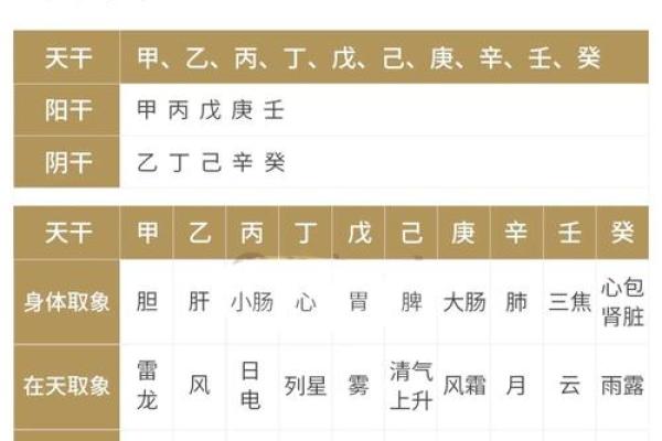 天干命理与疾病的关系揭秘