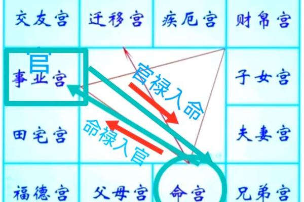紫微斗数排盘揭秘：如何通过命盘分析掌握人生走向