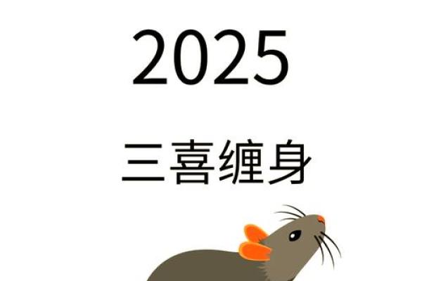 2024鼠年运势大揭秘：揭秘你的生肖命运密码