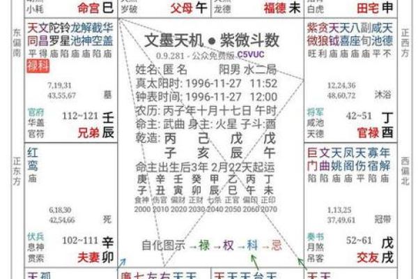 紫薇计算机排盘揭秘：如何利用技术助你精准预测未来