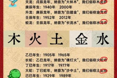 龙字五行属什么 揭秘深层次的五行奥秘