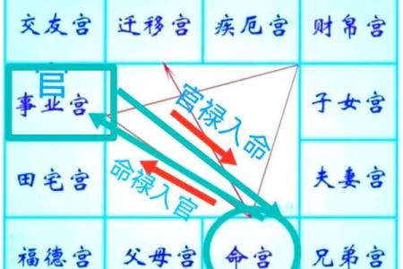 紫微斗数排盘揭秘：如何通过命盘分析掌握人生走向