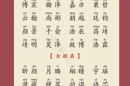 属龙开公司起名，帮你走向成功