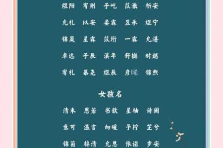 展姓宝宝取名指南：打造一个充满好运的名字