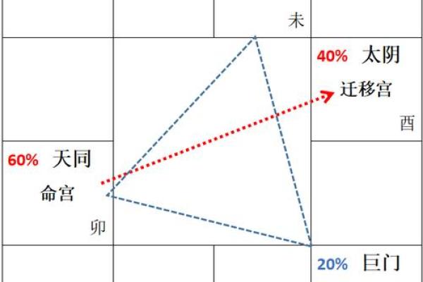 探秘伟人紫微排盘背后的命运玄机