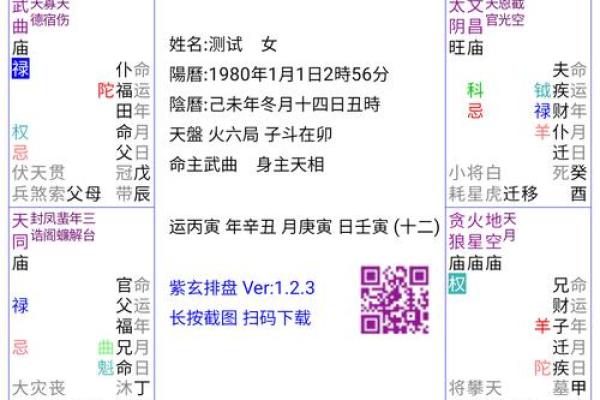 紫微排盘技巧揭秘：让你精准预测未来走势