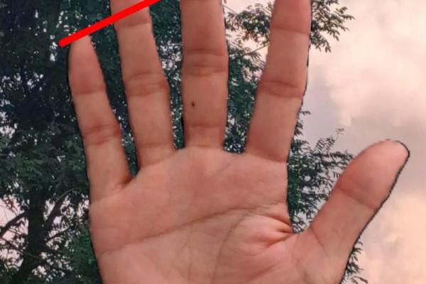 断掌手相揭秘：男性命运密码，一图掌握