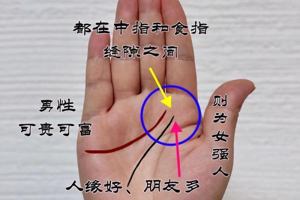 断掌手相揭秘：男性命运密码，一图掌握
