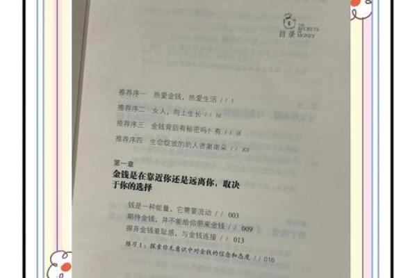 正印格富命：揭秘财富人生的秘密密码