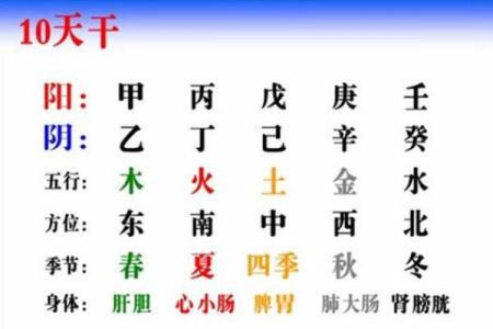 戌天干的神秘力量，解开八字背后的秘密