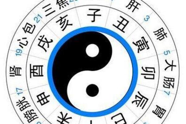 辰时天干解析：让你重新认识十二时辰的神奇力量