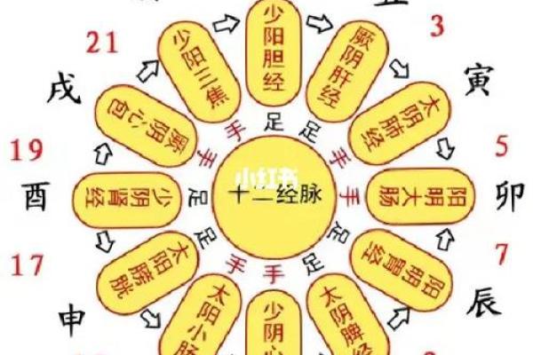 辰时天干解析：让你重新认识十二时辰的神奇力量