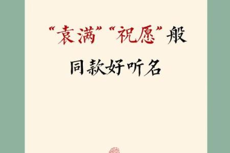 袁字起名，如何选择最适合的字搭配