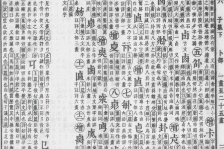 康熙八字揭秘：权力、财富与人生的奥秘