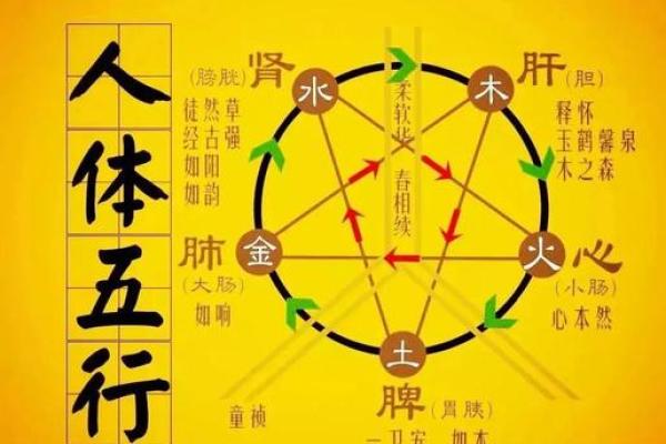 你知道刘五行属性与命运的关系吗？