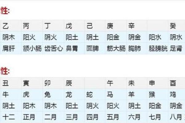 五行八卦算命揭秘：如何通过命理掌控人生