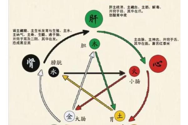 农业五行属性解析：五行对农业的深远影响
