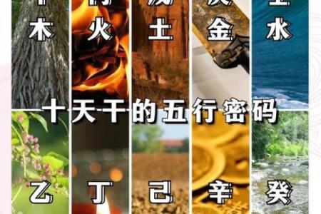 天干自然属性深度解析，改变你的人生运势