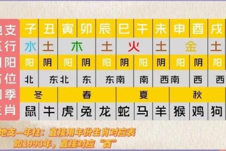 如何通过天干地支查询来预测运势？