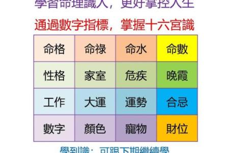 五行八卦算命揭秘：如何通过命理掌控人生