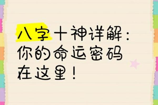 探秘八字排盘：十神倾向揭示人生成功密码