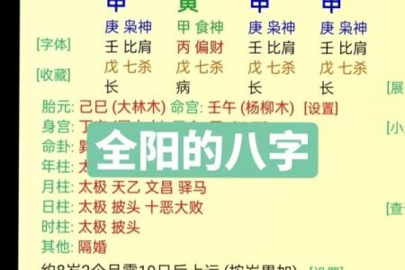 精通八字天干地支，掌握命运的关键