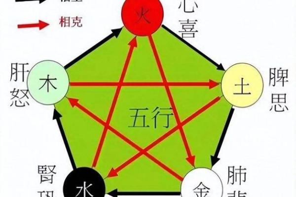 乙的五行属性对人生的深远影响