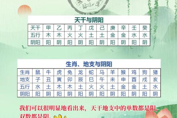 天干配人体图：你的身体与五行之间的秘密联系
