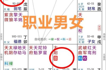 紫薇命盘天相星的神秘力量，如何改变你的人生轨迹