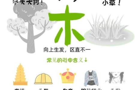 如何根据十天干的五行特性找到人生的正确方向