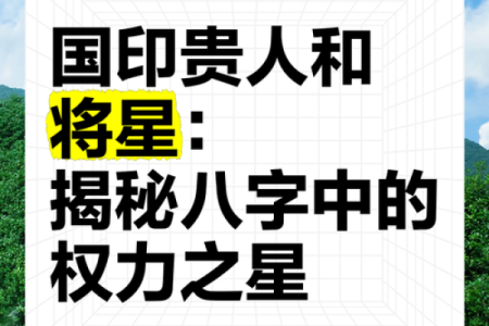 探秘八字将星：如何利用将星提升命运运势