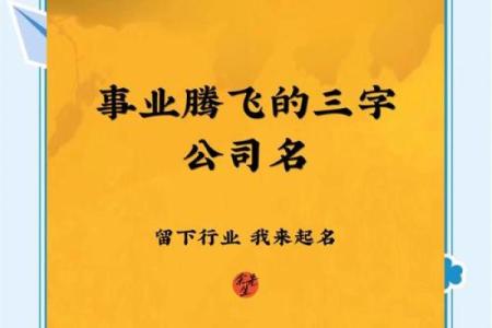 合伙创业，三人共赢的公司名字如何定制
