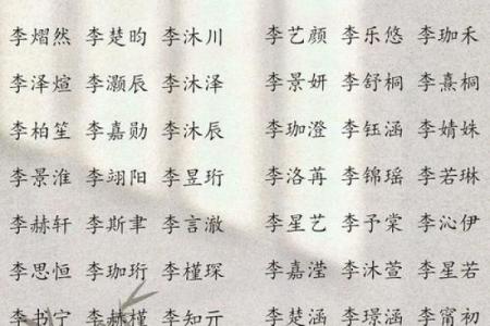 李姓女孩起名指南：寓意深远的名字推荐