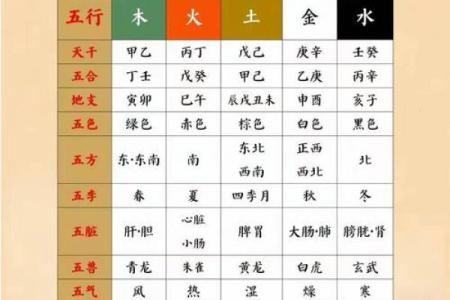 天干配人体图：你的身体与五行之间的秘密联系