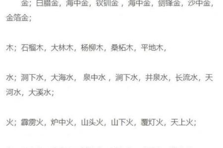 宝宝是木命：揭秘五行与命理的神奇联系