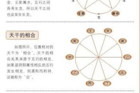 天干地支与五行对照表全面解析，揭开命理奥秘