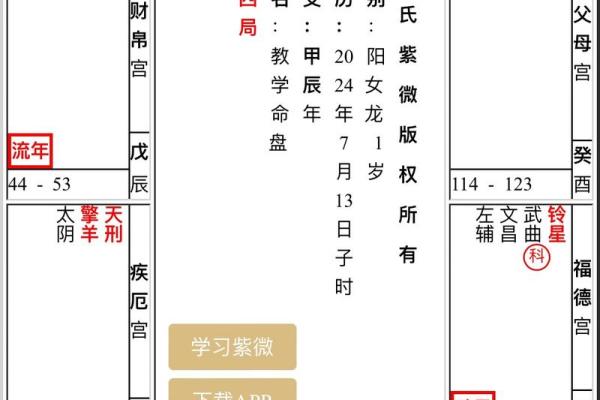 从零开始学紫薇斗数排盘，掌握命运的密码