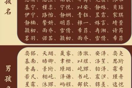柏字起名大全：如何为宝宝挑选一个寓意深远的名字