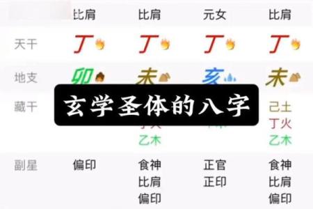 你知道天干丁火代表了什么吗？