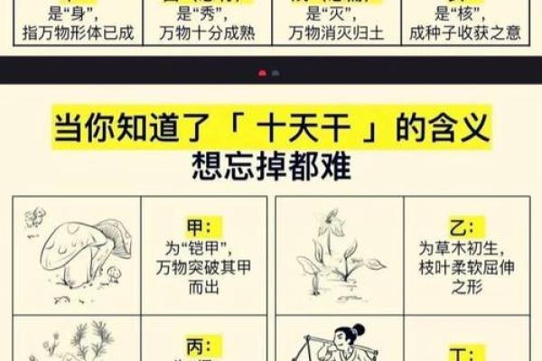 十二时辰与天干地支的神秘关系，揭秘古人如何掌握时间奥秘