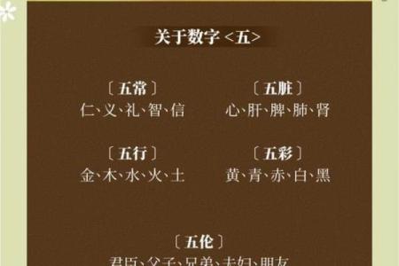老字五行解析：深度剖析传统文化的智慧