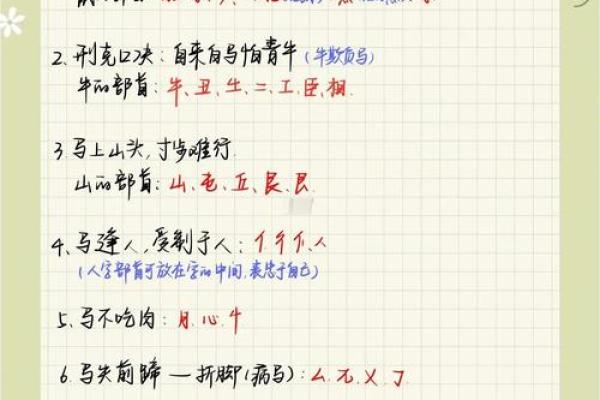 属马人的五行命理揭秘：揭秘五行的神奇力量
