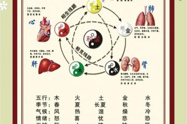 修字五行属性揭秘