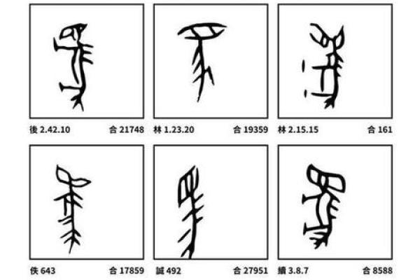 马字与五行的神秘联系