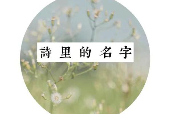 娄姓家长必知的起名技巧，让孩子从此与众不同